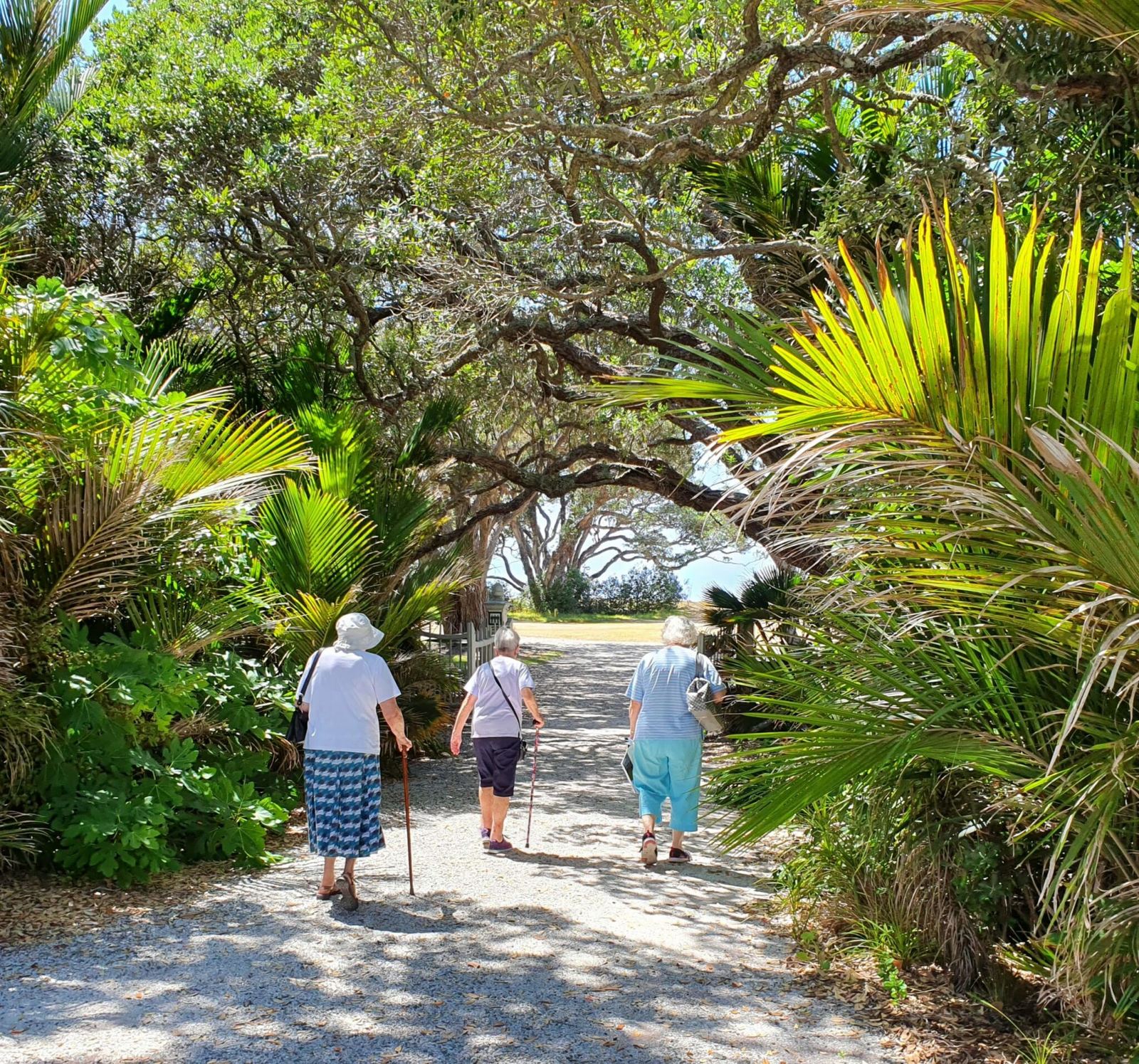 Guests strolling along a leafy garden path