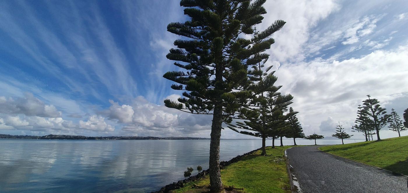 Beachlands, photo 3