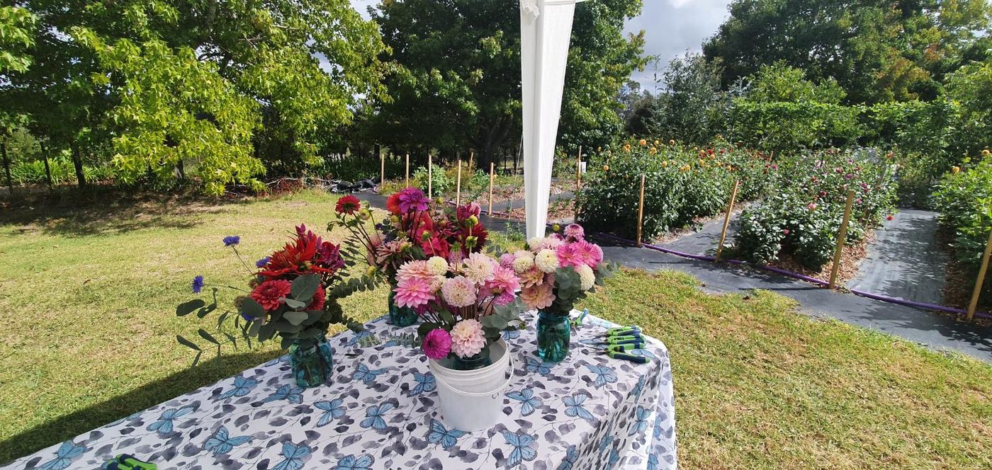 The Flower Fields, photo 2