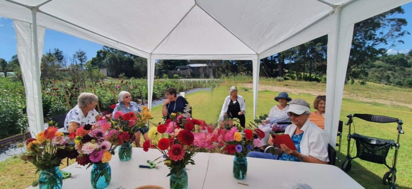 The Flower Fields, photo 4