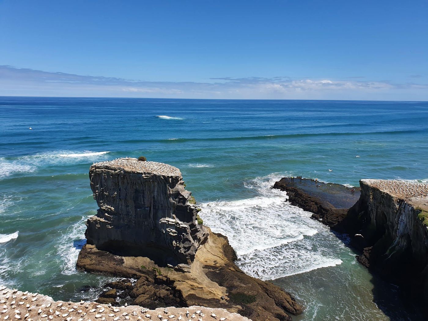 Muriwai Beach, photo 2