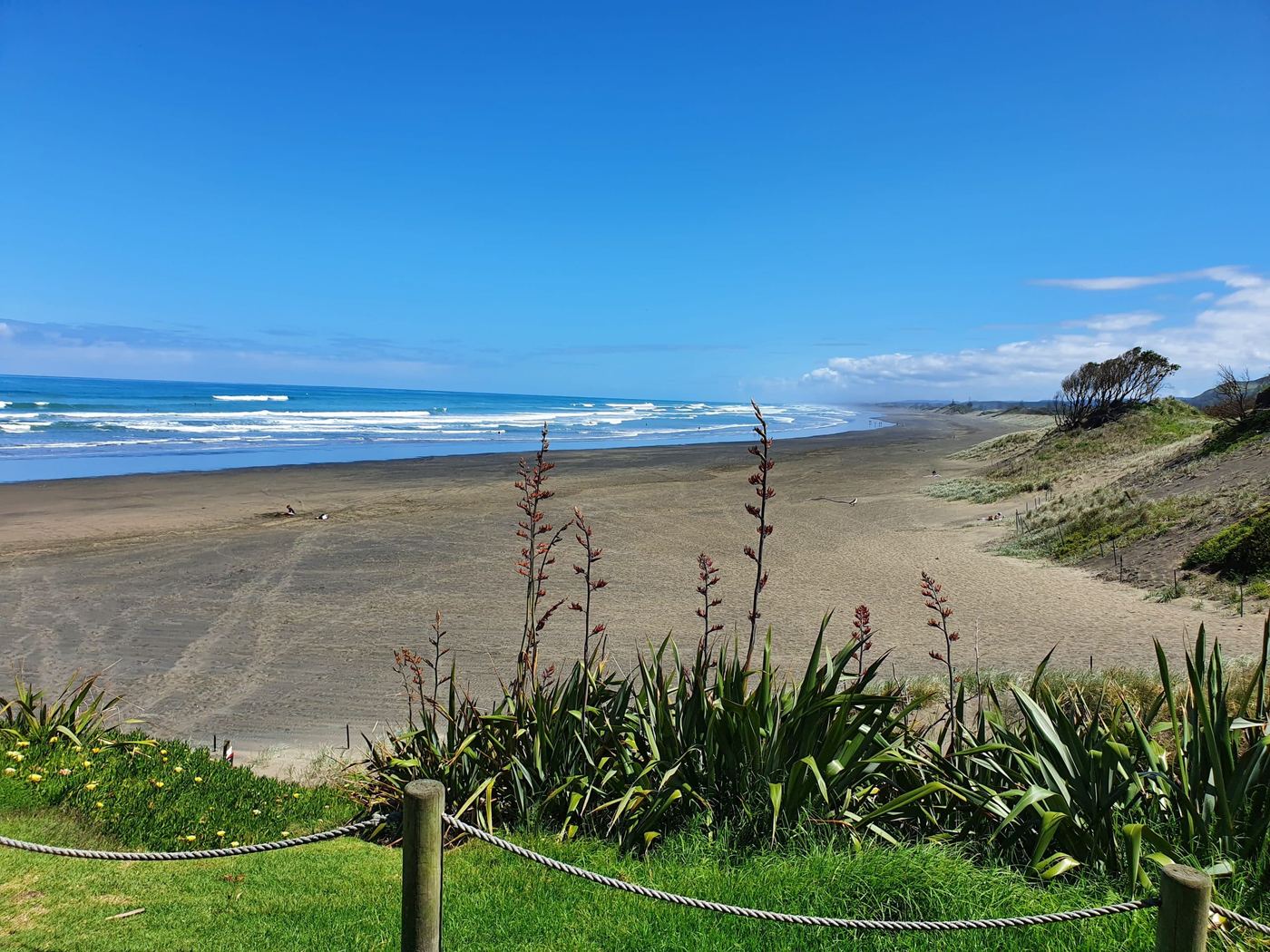 Muriwai Beach, photo 4