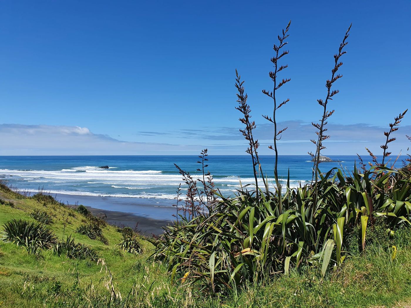 Muriwai Beach, photo 5